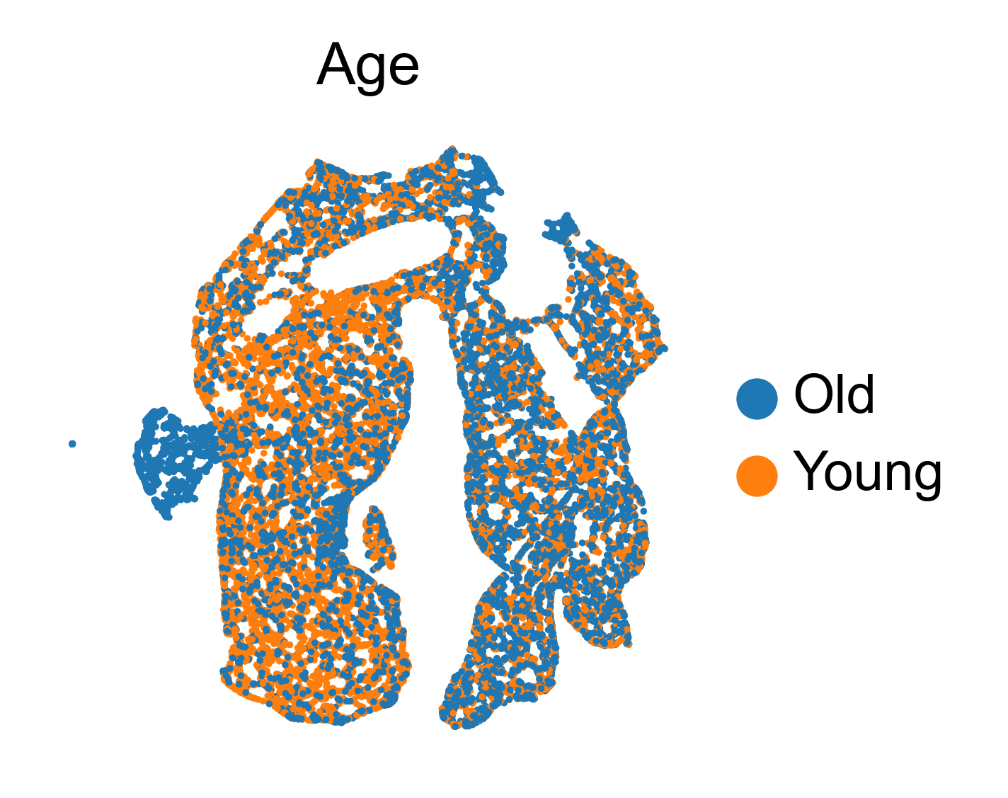 ../_images/notebook_HematoAging_20_0.png