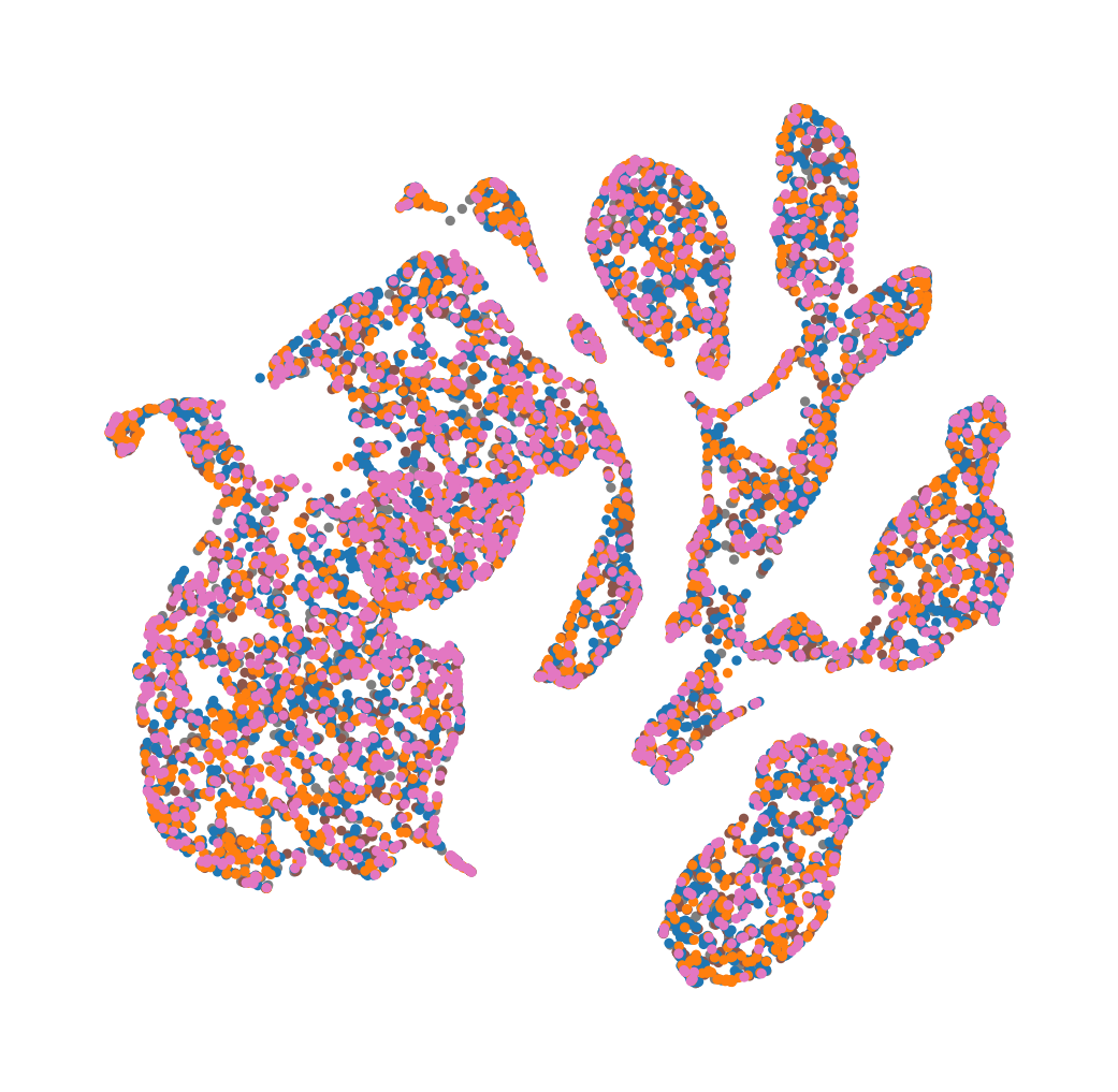 ../_images/notebook_NeuronsRehabilatation_10_0.png