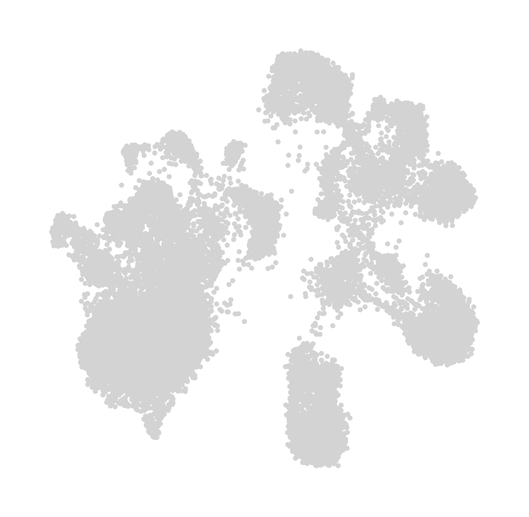 ../_images/notebook_NeuronsRehabilatation_8_0.png